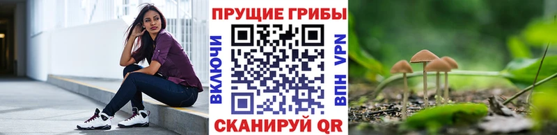 Псилоцибиновые грибы Psilocybine cubensis  купить закладку  Дигора 