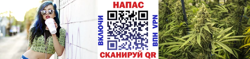 Канабис White Widow  Дигора 
